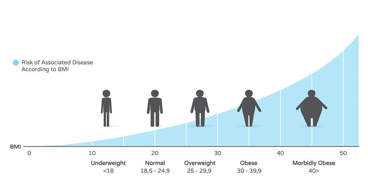 Body Mass Index Chart